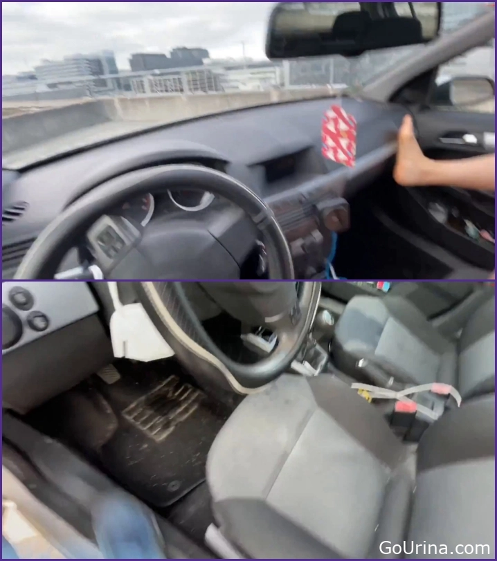 Wet Habit Revealed - Pissing In The Car Part 2 – Now Even Krasser., Laura-Cat, pissing passion - 2025
