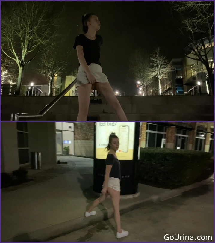 Girl in Toilet Mode, Public Panty Wetting, MPEG-4, Peachypoppy, 311 MB, 2025, long piss