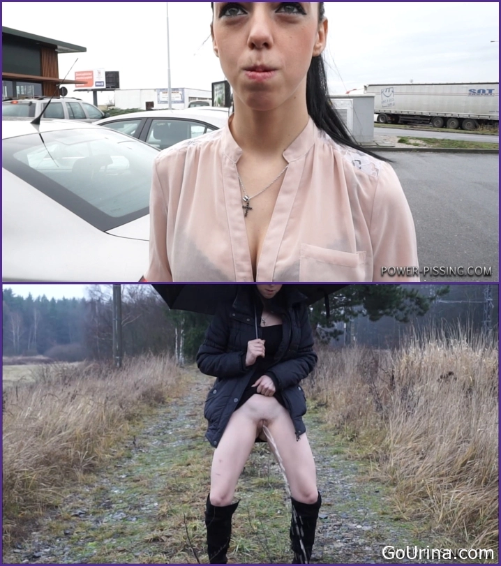 Stream Before Sex, Annie On The Road About Forests, MPEG-4, 266 MB, 2025, calm joy