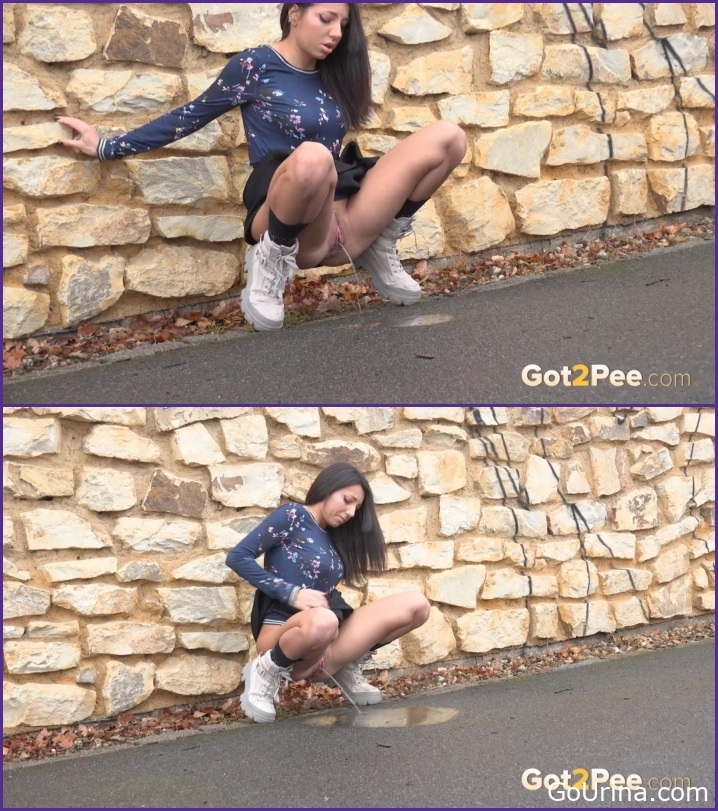 Wet Filth, Desperate In The Suburbs, MPEG-4, Mini Mitzi, 100.0 MB, 2025, pee joy