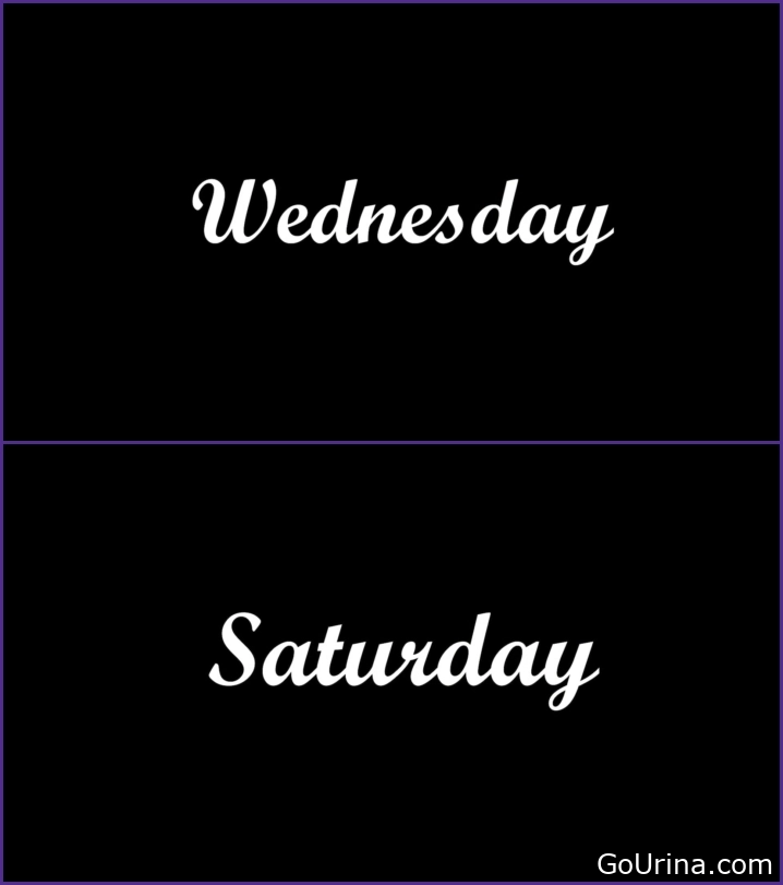 Davita May - Neighbors Asked me to Water their Plants