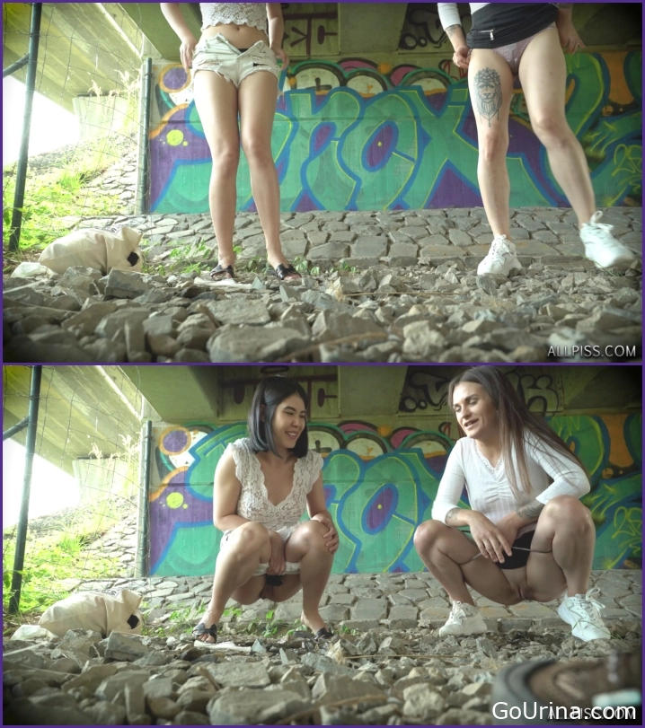 Dirty Girl Pees Fast, Lady Dee Double Piss With Friend, MPEG-4, 273 MB, 2025, loose stream